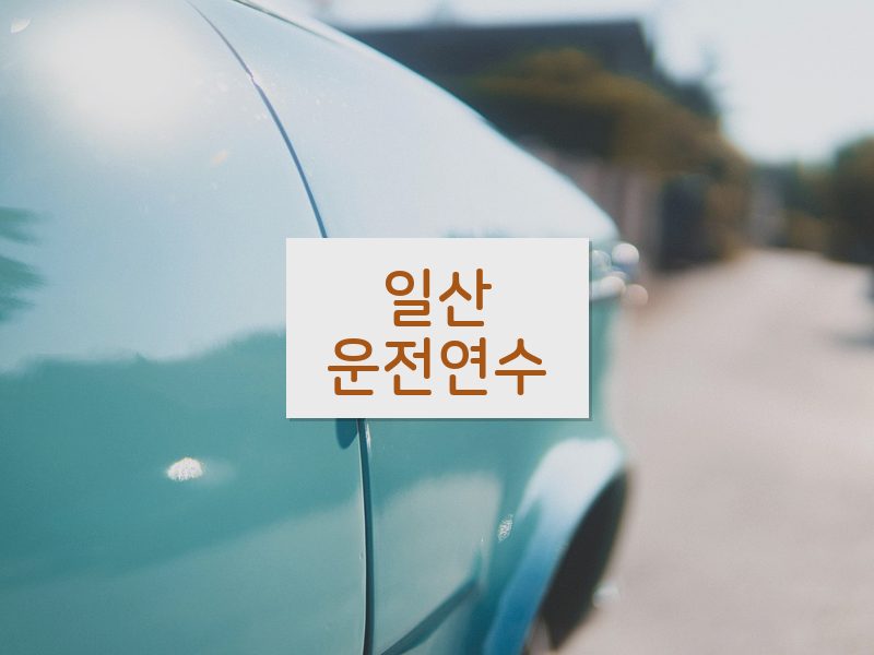일산운전연수 후기