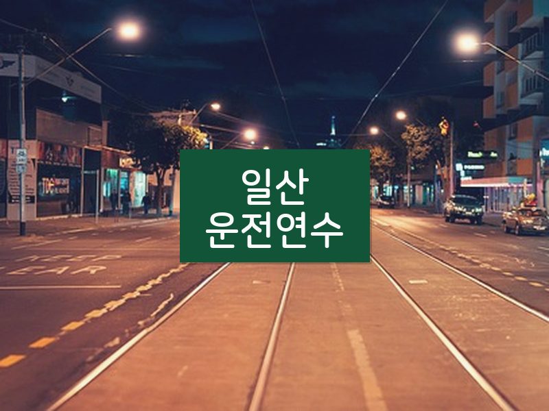 일산운전연수 후기
