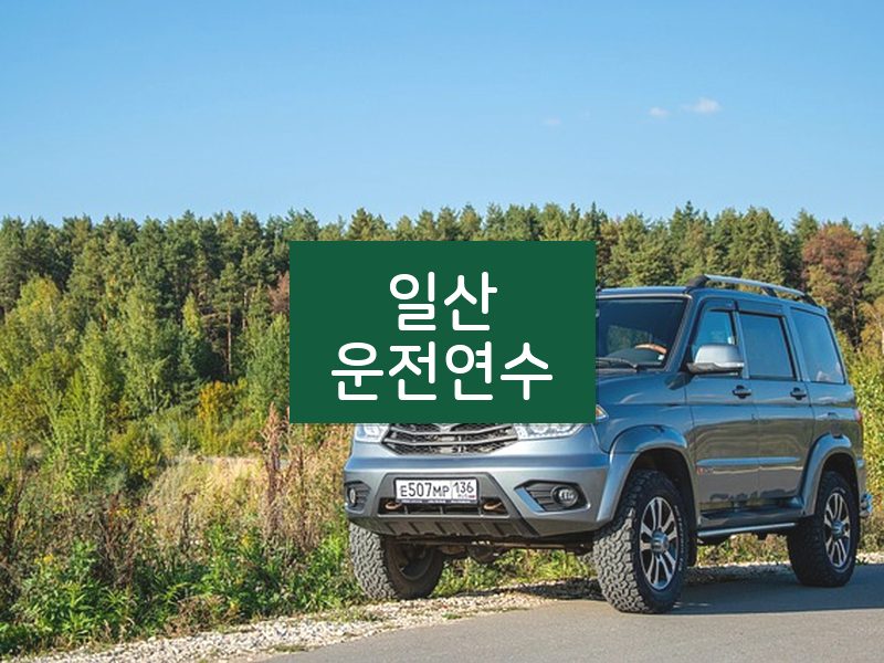 일산운전연수 후기