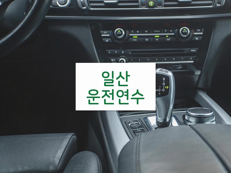 일산운전연수 후기