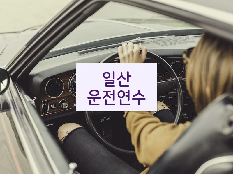 일산운전연수 후기