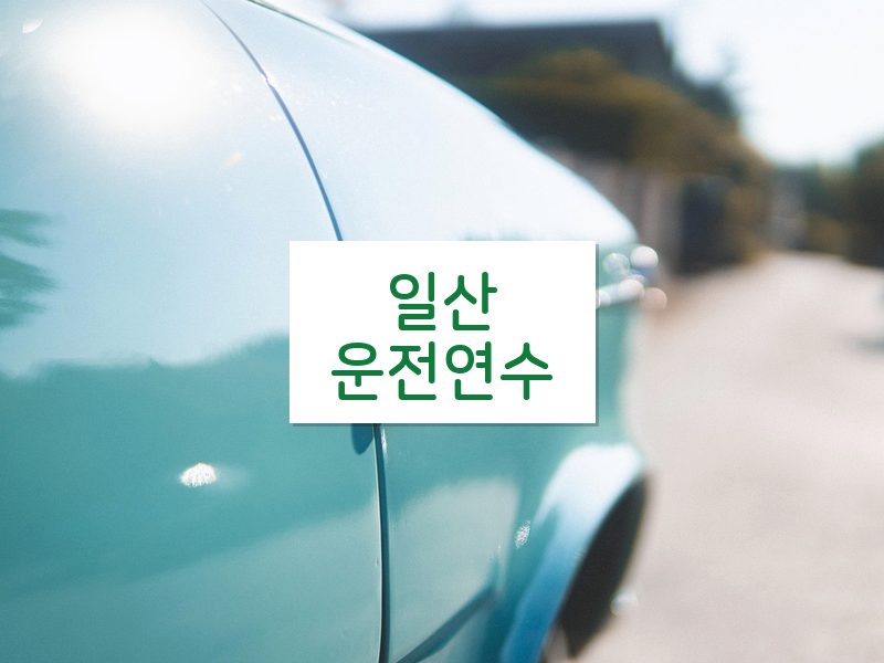 일산운전연수 후기