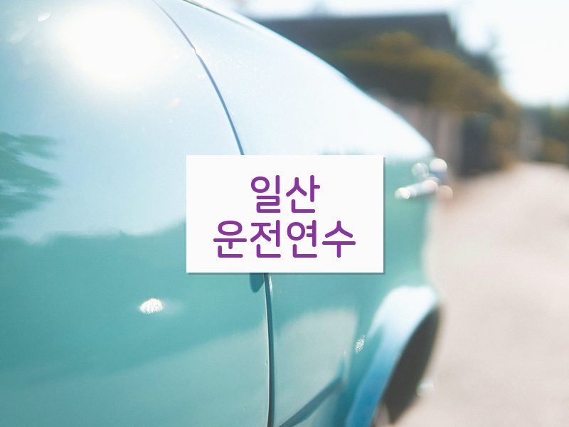 일산운전연수 후기