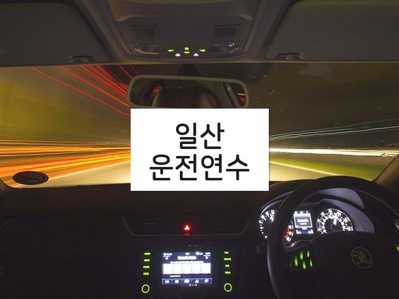 일산운전연수 후기