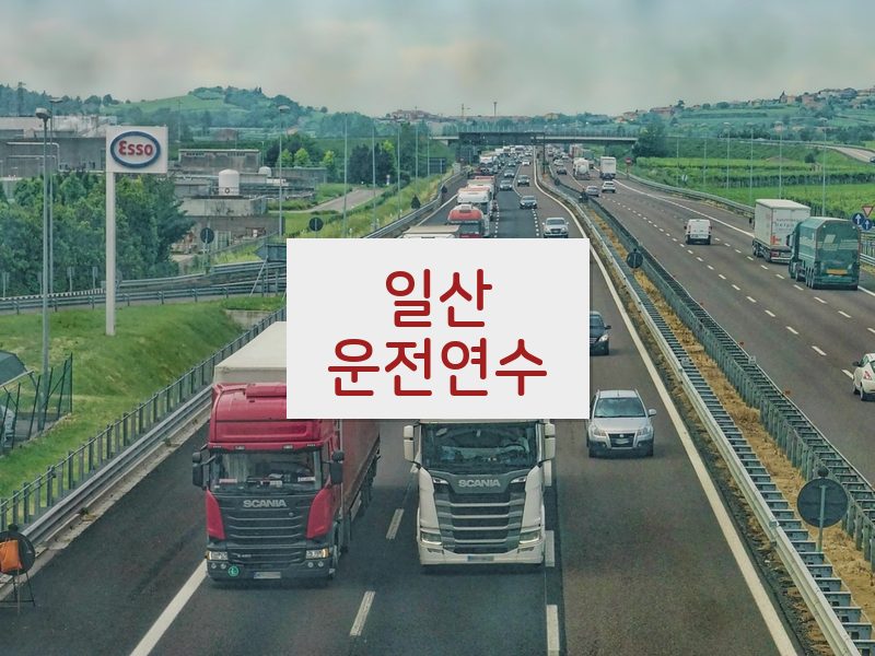 일산운전연수 후기