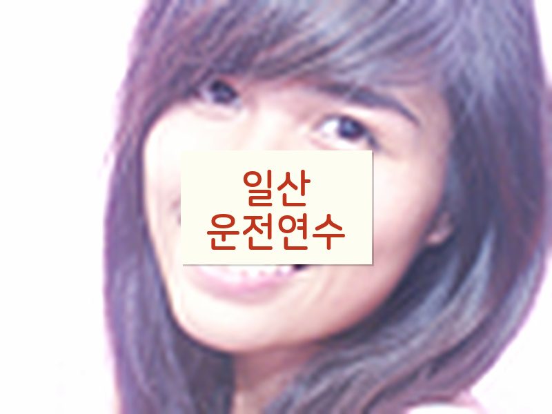 일산운전연수 후기