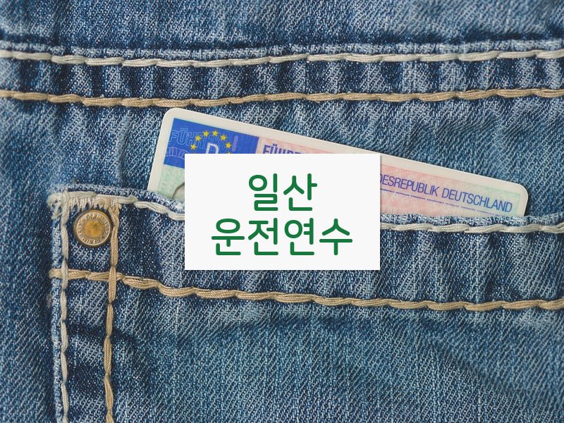 일산운전연수 후기