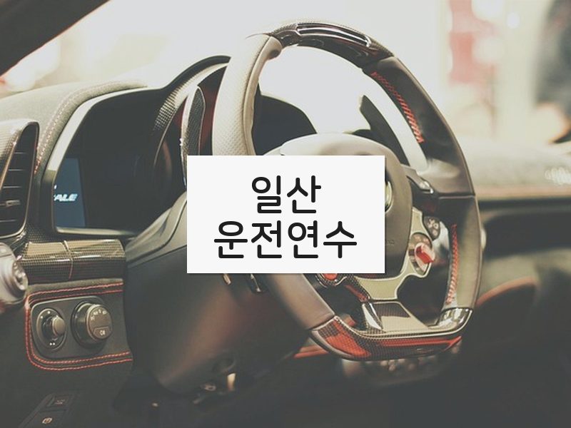 일산운전연수 후기