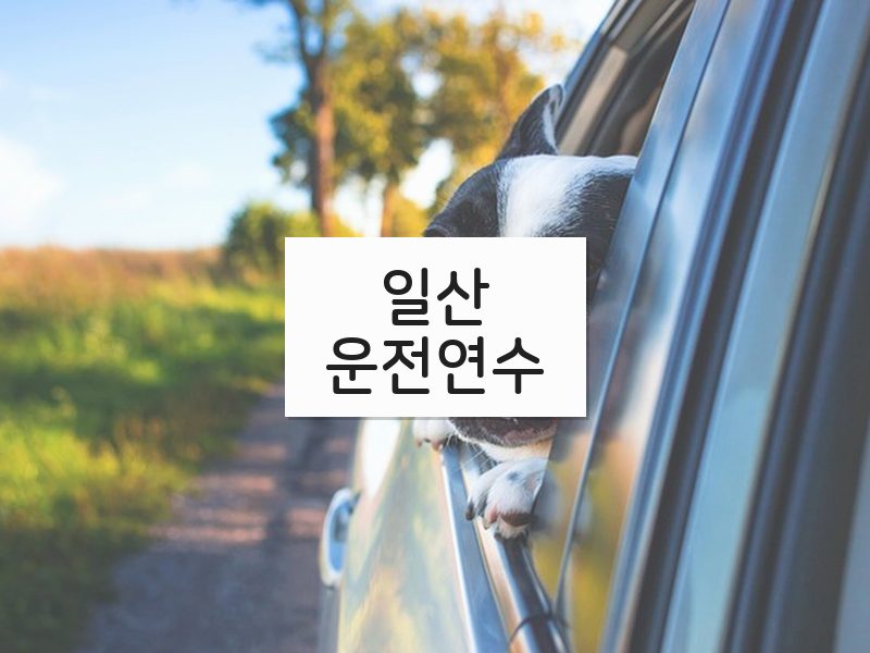 일산운전연수 후기