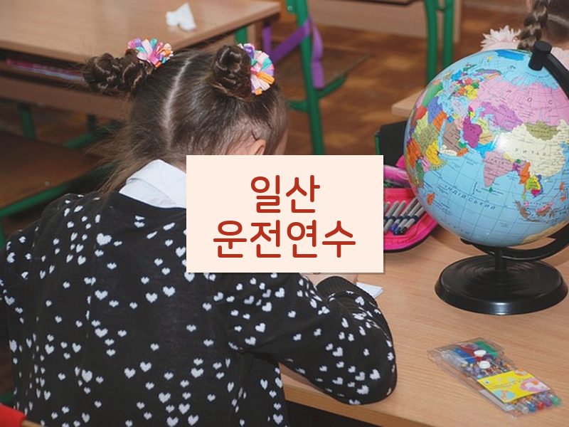 일산운전연수 후기