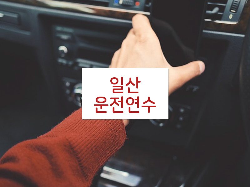 일산운전연수 후기