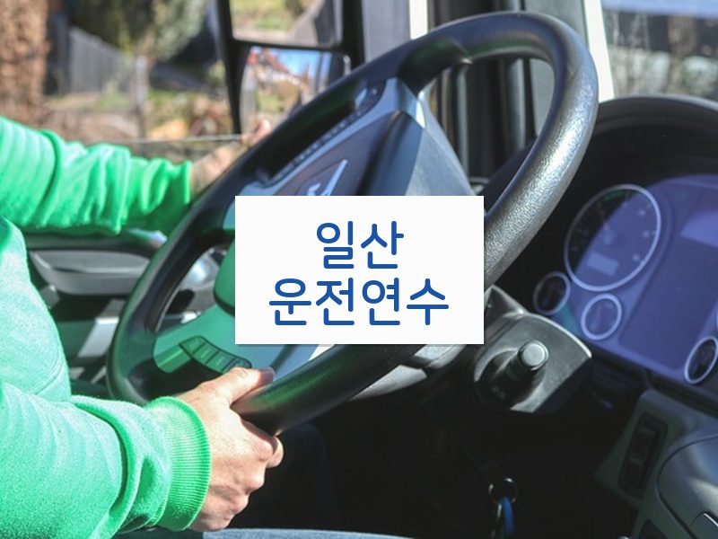 일산운전연수 후기
