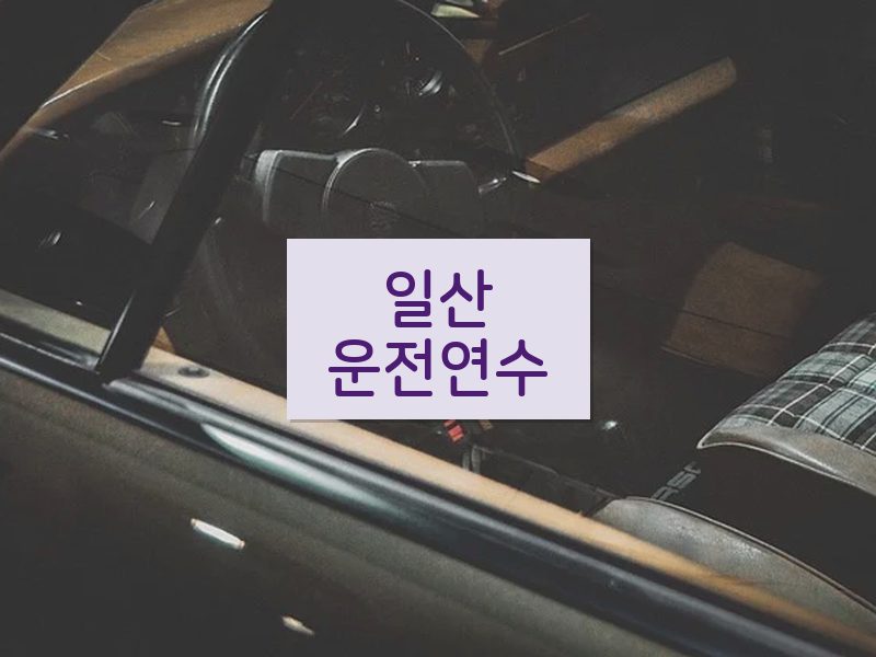일산운전연수 후기