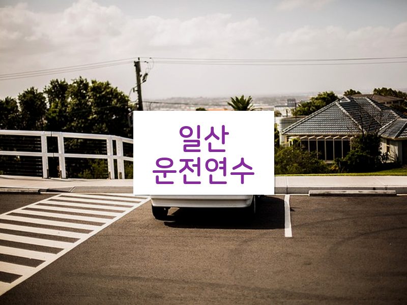 일산운전연수 후기