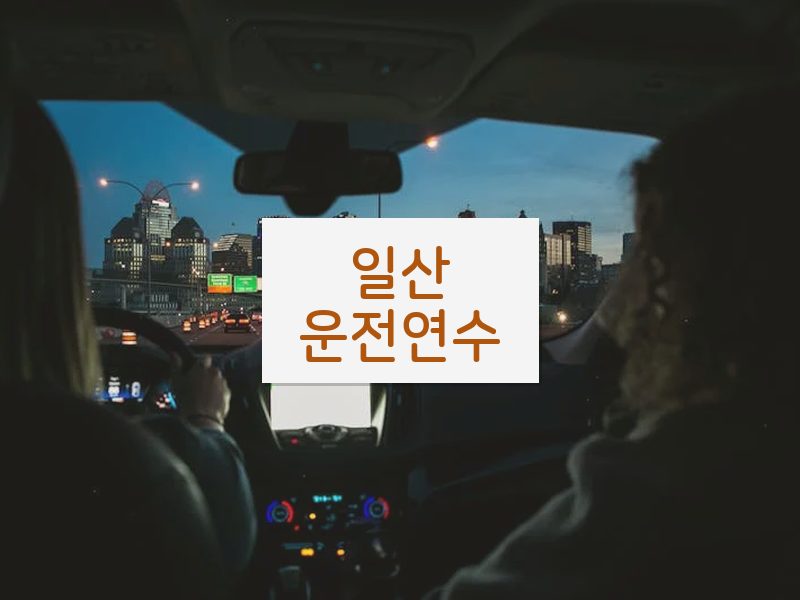 일산운전연수 후기