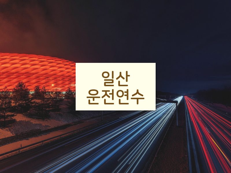 일산운전연수 후기