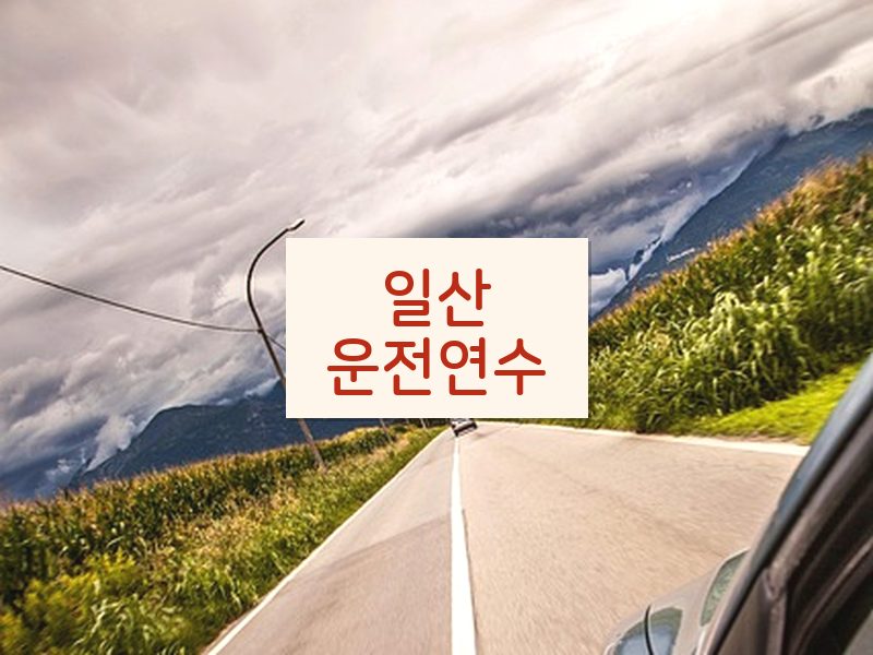 일산운전연수 후기