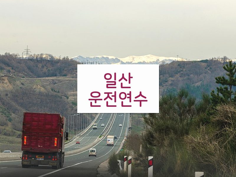 일산운전연수 후기