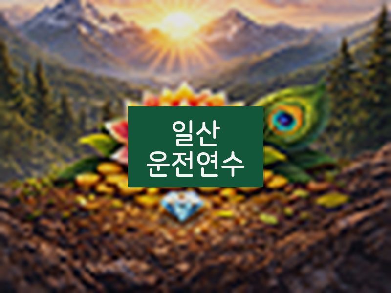 일산운전연수 후기