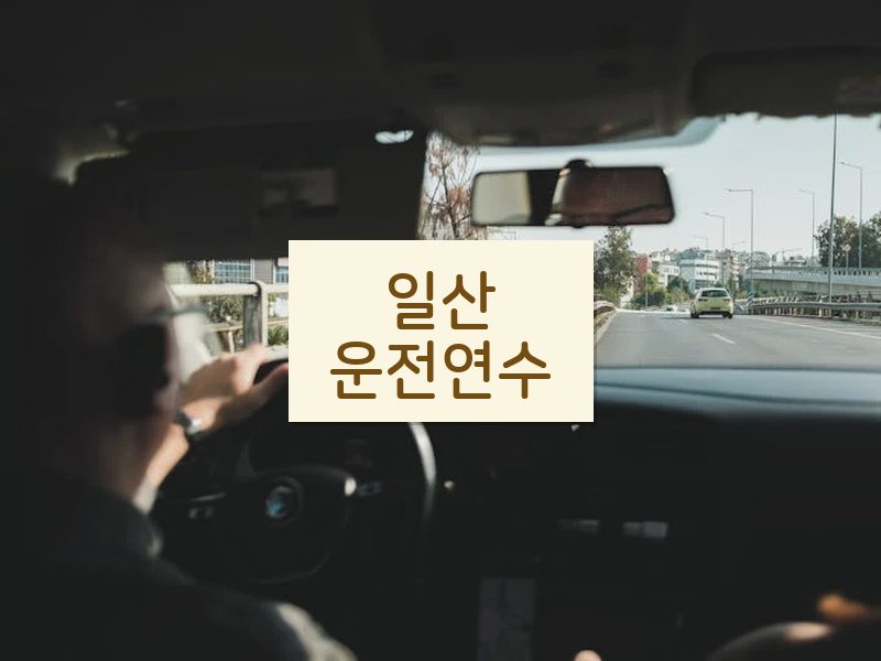 일산운전연수 후기