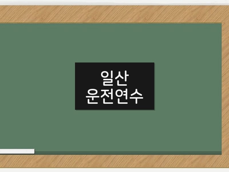 일산운전연수 후기