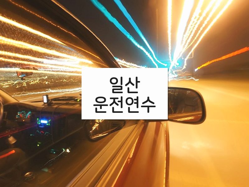일산운전연수 후기