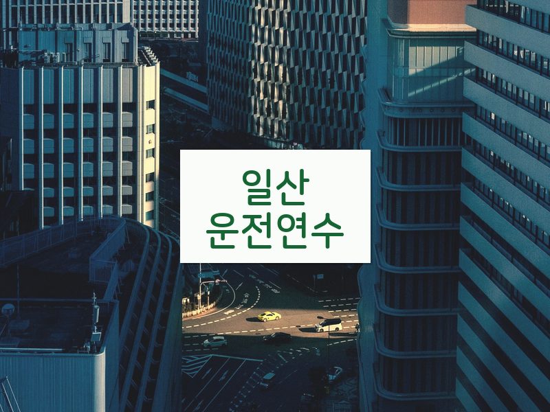 일산운전연수 후기