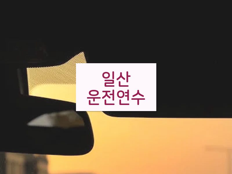 일산운전연수 후기
