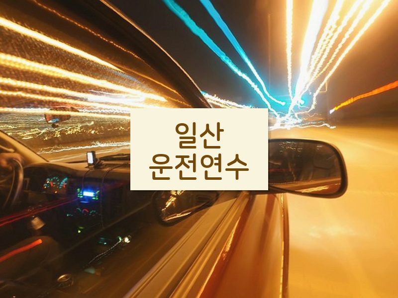 일산운전연수 후기