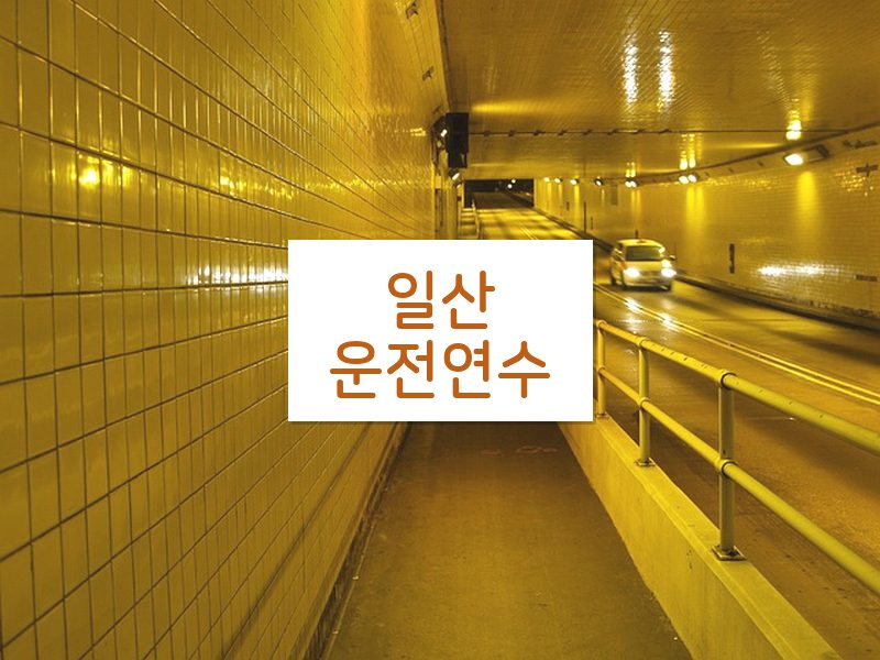 일산운전연수 후기