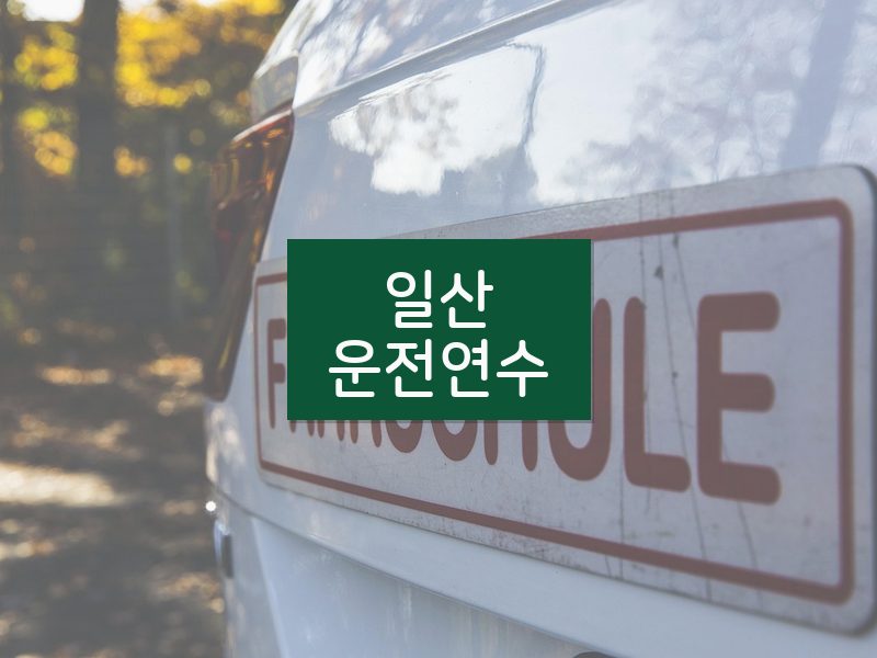 일산운전연수 후기