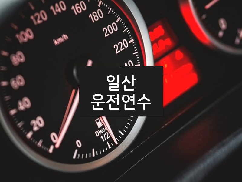 일산운전연수 후기