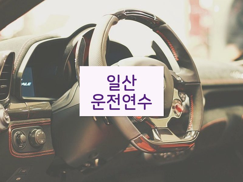 일산운전연수 후기