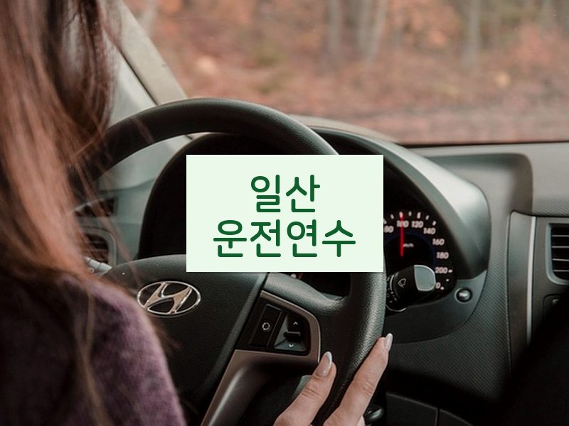 일산운전연수 후기