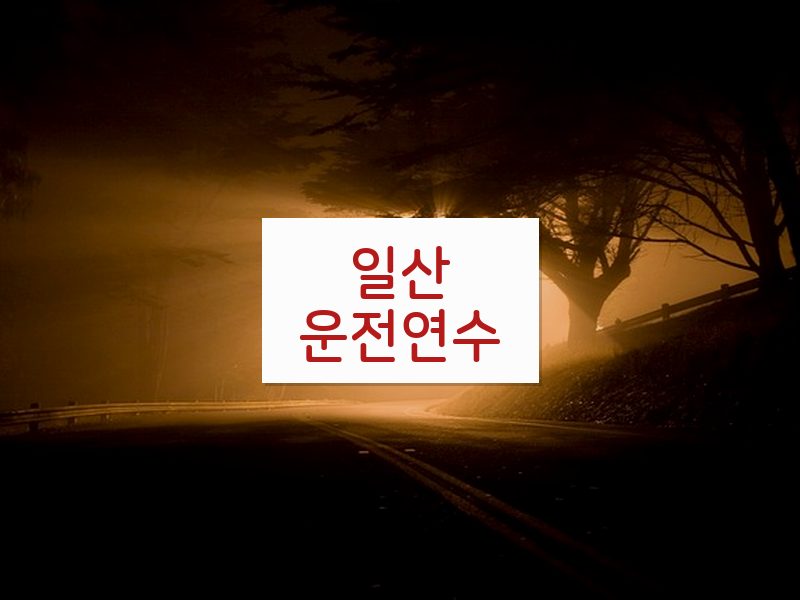 일산운전연수 후기