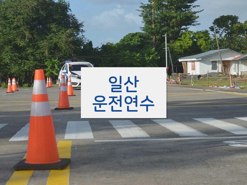 일산운전연수 후기