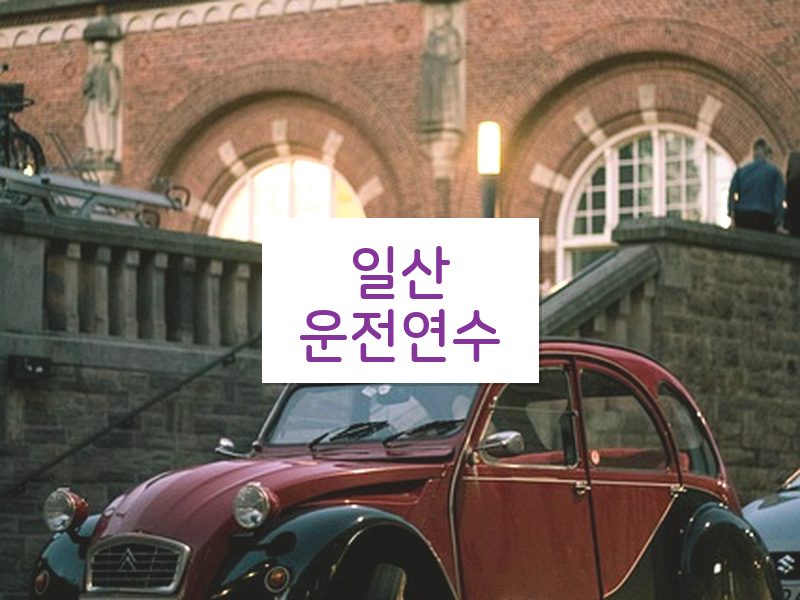 일산운전연수 후기