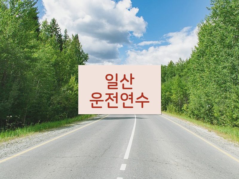일산운전연수 후기