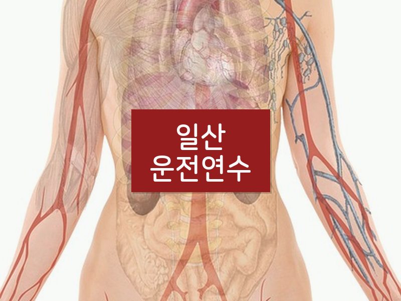 일산운전연수 후기