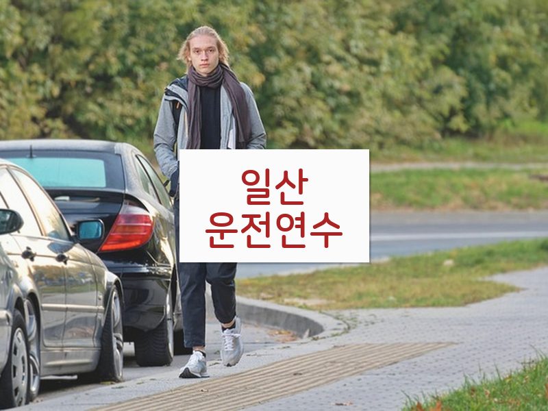 일산운전연수 후기
