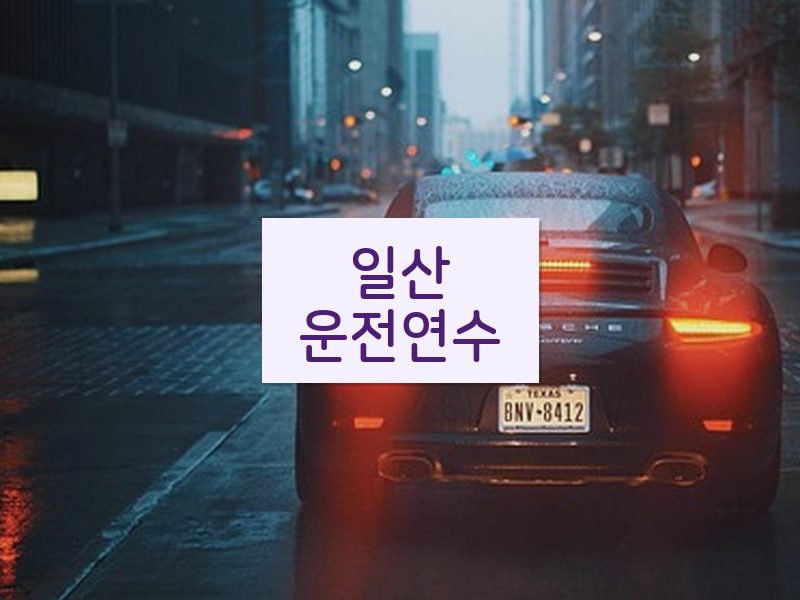 일산운전연수 후기