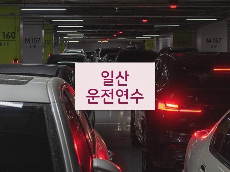 일산운전연수 후기