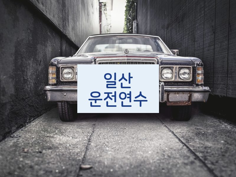 일산운전연수 후기