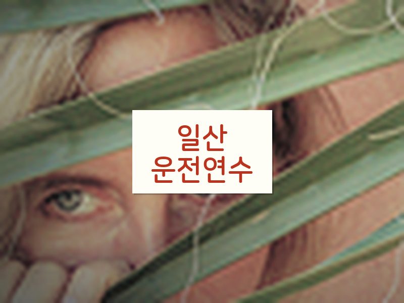 일산운전연수 후기