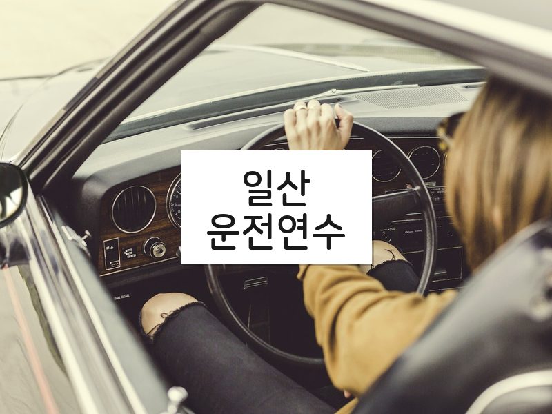 일산운전연수 후기