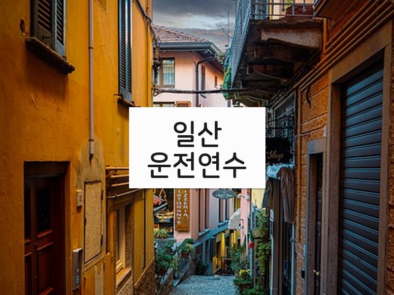 일산운전연수 후기
