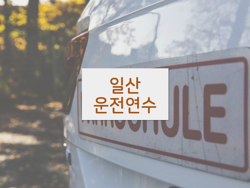 일산운전연수 후기