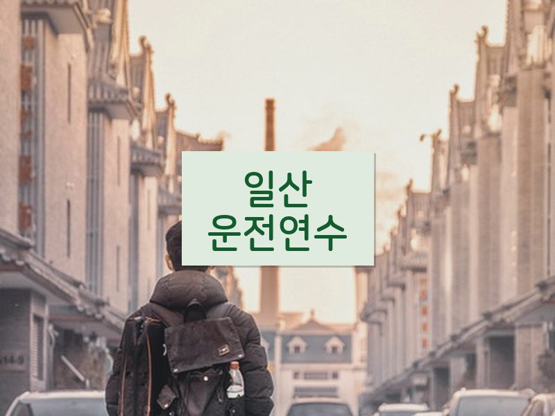 일산운전연수 후기