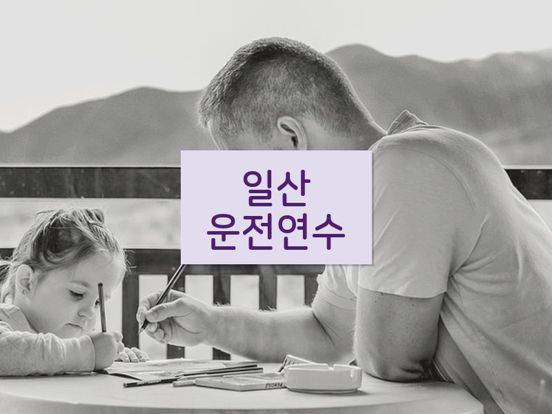 일산운전연수 후기
