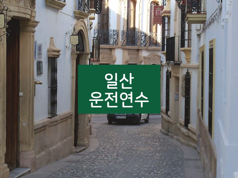 일산운전연수 후기